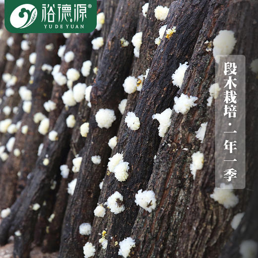 (合伙人)裕德源通江银耳传统段木栽培有机通江银耳25g家庭装5人份 商品图8