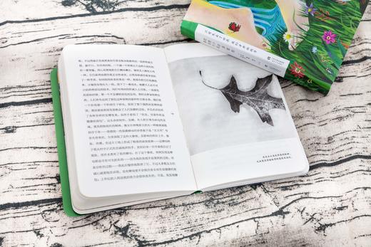 把整个世界留给黄昏与我 | 梭罗《瓦尔登湖》精选集 商品图2