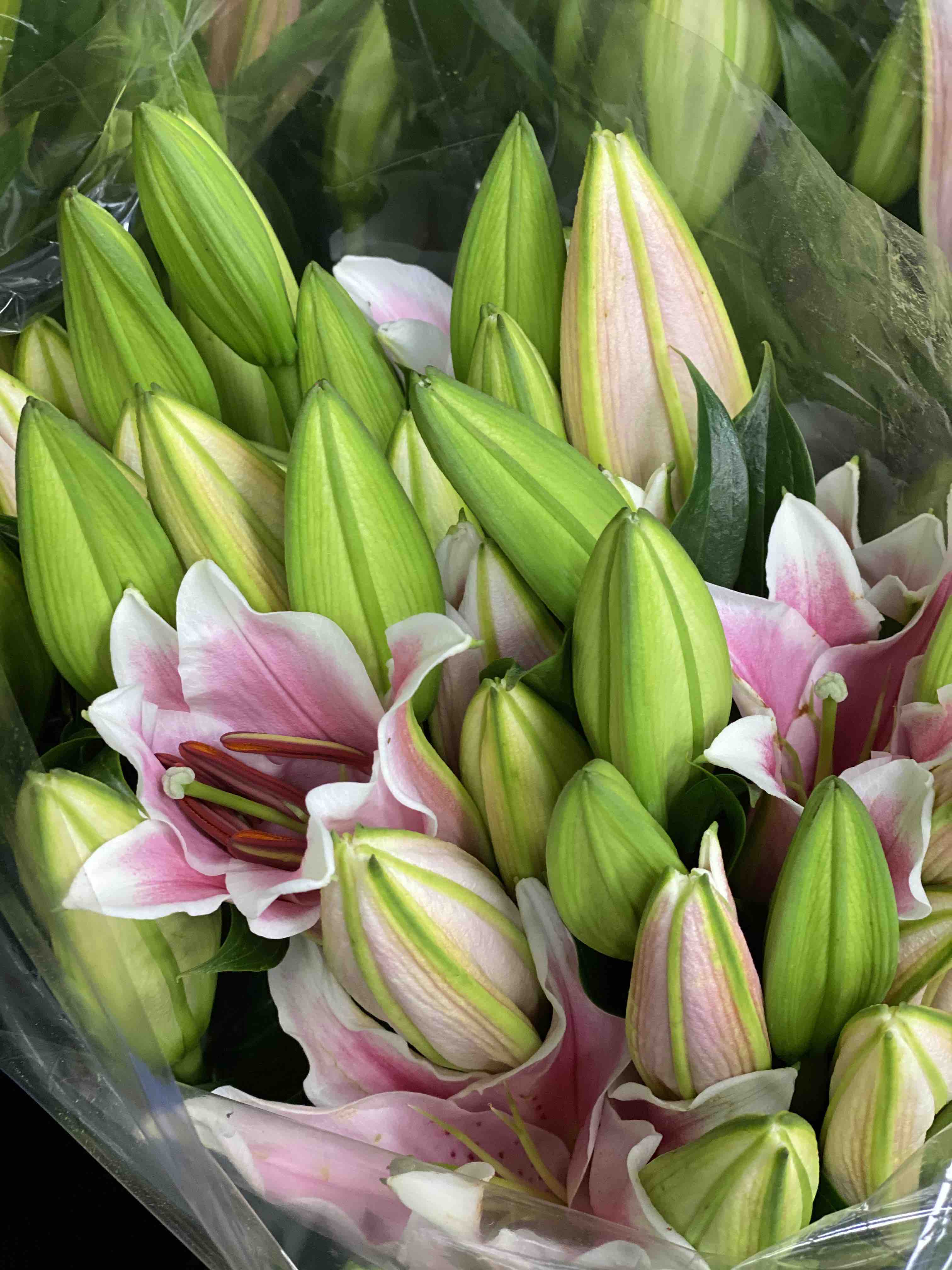 【郭小姐的花·每周团购】多头香水百合