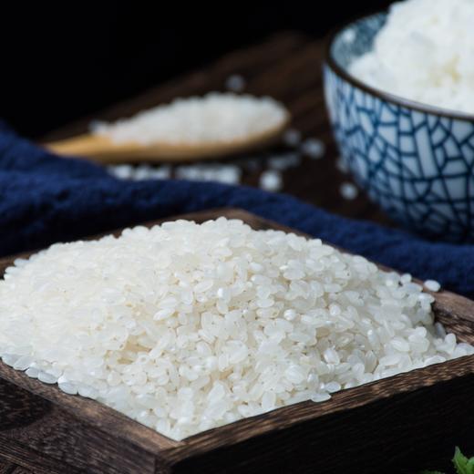 【米香中国】乐丫五常 基地直供稻花香 5kg 商品图4