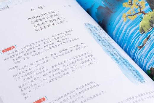 藏在古诗词里的成语（全4册）80首古诗词 曹文学推荐 zhu名儿童文学作品 商品图10