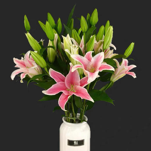 【郭小姐的花·每周团购】多头香水百合