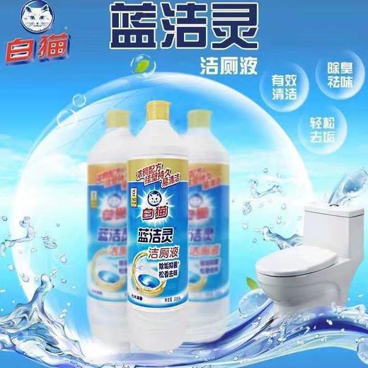 白猫蓝洁灵圆瓶洁厕液（松木清香）500g/瓶 商品图4