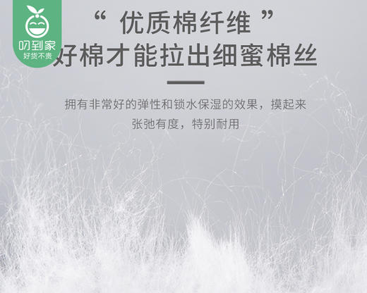 尔木萄加厚纯棉洗脸巾（70片 20*20cm/卷）生产日期: 26年1月补单链接 商品图1