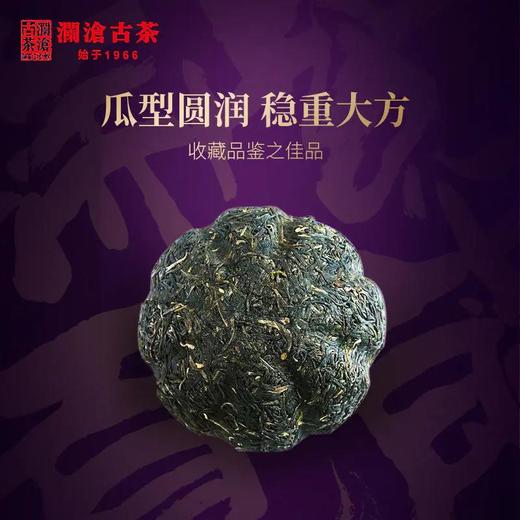 澜沧古茶2020年紫龙瑞贡金瓜紫芽茶普洱茶生茶云南茶叶瓜茶500g 商品图2