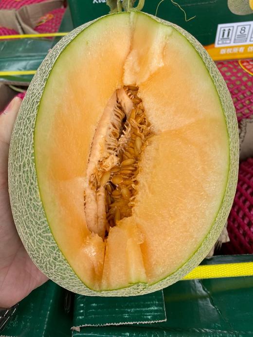 周日秒杀:香妃小蜜哈密瓜 !甜掉牙!水份超足!脆甜爽口!