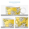 WEDGWOOD玮致活茶香花园骨瓷马克杯复古杯子欧式茶杯咖啡杯家用 商品缩略图1