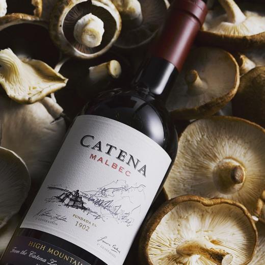 阿根廷卡帝娜马贝克红葡萄酒catenamalbecmendozacz03