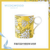 WEDGWOOD玮致活茶香花园骨瓷马克杯复古杯子欧式茶杯咖啡杯家用 商品缩略图0