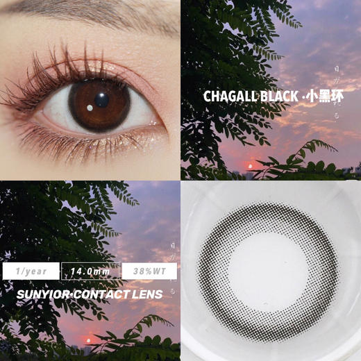 年抛 NEO 经典 小黑环 14.0 商品图1