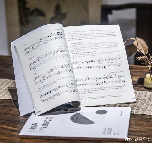 音乐基础理论 考研丛书 商品图5