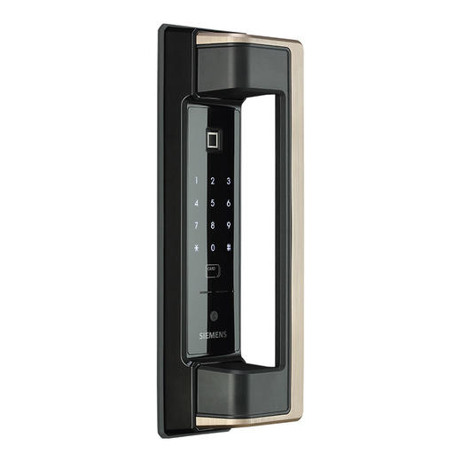 员工内购平台西门子指纹锁 密码锁 家用防盗门锁智能电子锁 磁卡锁 C620 商品图0