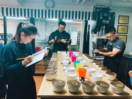 【北京】铂澜咖啡学院 咖啡达人模块课（意式、拉花、冲煮、杯测） 商品图4