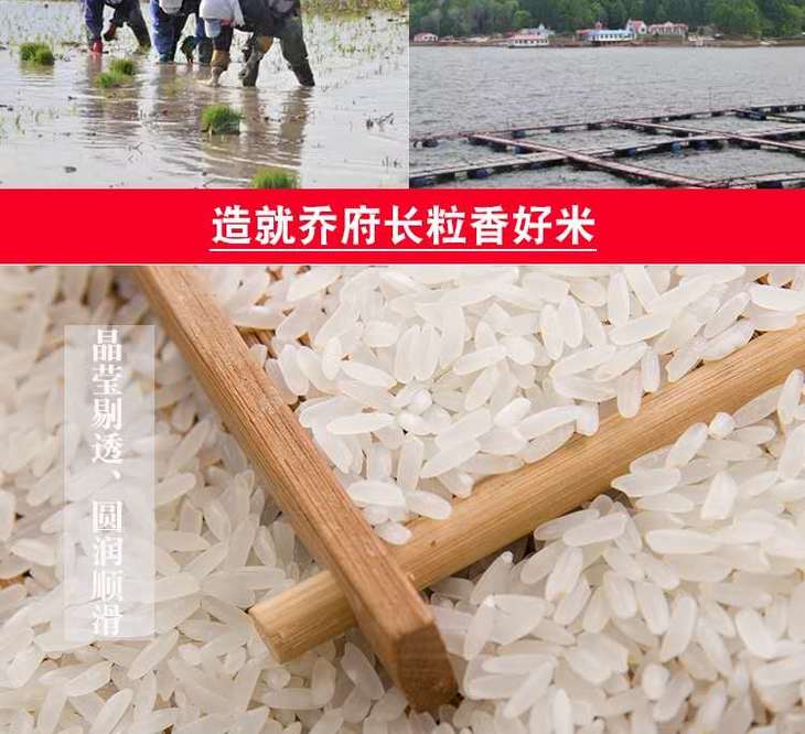 小鑫优选济南国华优众乔府大院五常大米限时秒杀