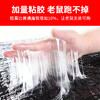粘鼠带（灭鼠魔毯）1200CM*28CM 商品缩略图2