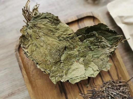 鸡骨草桑叶汤︱3包装 商品图4