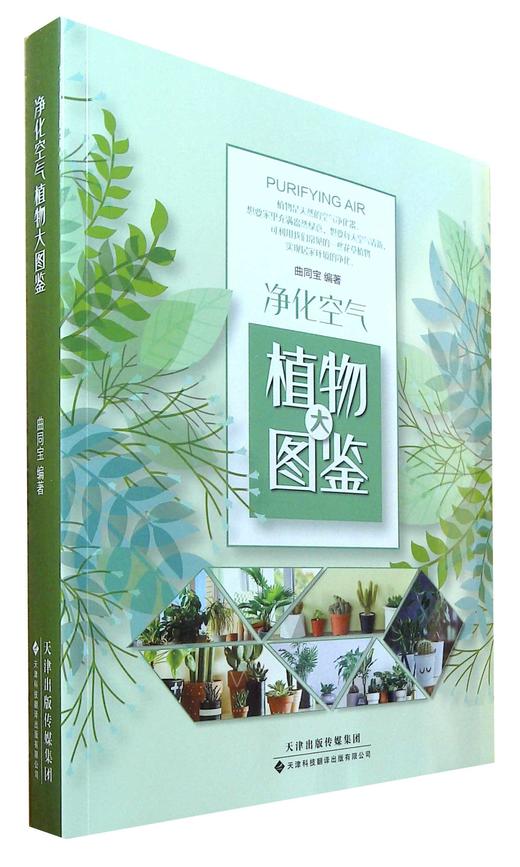 净化空气植物大图鉴 商品图0