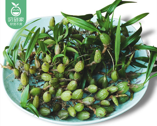 【叼鲜蔬】三明新鲜石橄榄/1份（100g±10g） 商品图2