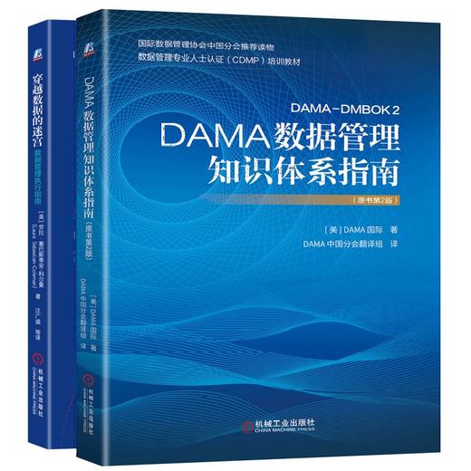 官方正版 套装 DAMA数据管理知识体系指南（原书*2版）+穿越数据的迷宫—数据管理执行指南 DAMA 国际  劳拉?塞巴斯蒂安-科尔曼 商品图3