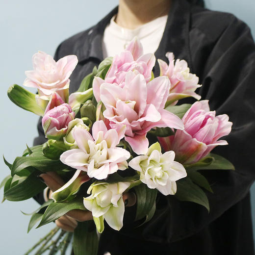 重瓣百合胡安娜