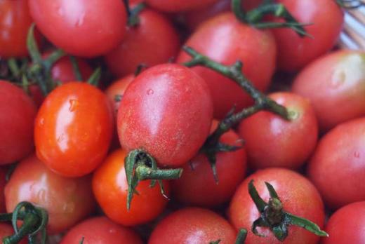 小毛驴市民农园自产蔬菜包 单次体验 北京包邮 商品图1