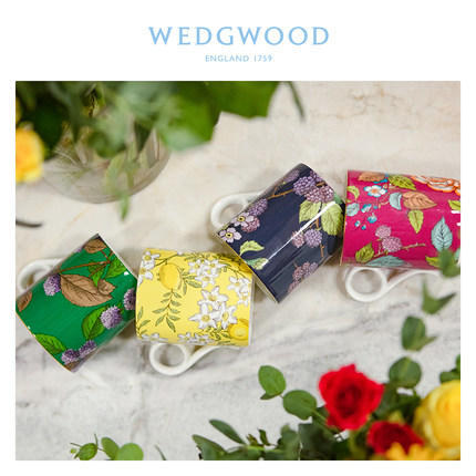 WEDGWOOD玮致活茶香花园骨瓷马克杯复古杯子欧式茶杯咖啡杯家用 商品图2