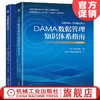 官方正版 套装 DAMA数据管理知识体系指南（原书*2版）+穿越数据的迷宫—数据管理执行指南 DAMA 国际  劳拉?塞巴斯蒂安-科尔曼 商品缩略图0