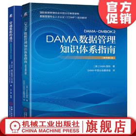 官方正版 套装 DAMA数据管理知识体系指南（原书*2版）+穿越数据的迷宫—数据管理执行指南 DAMA 国际  劳拉?塞巴斯蒂安-科尔曼