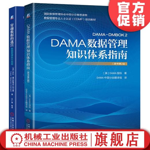 官方正版 套装 DAMA数据管理知识体系指南（原书*2版）+穿越数据的迷宫—数据管理执行指南 DAMA 国际  劳拉?塞巴斯蒂安-科尔曼 商品图0