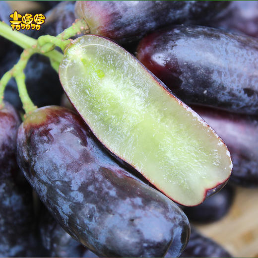 【ems空运】土哆哆云南大理金手指黑提果肉紧实脆甜多汁