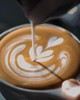 【北京】铂澜咖啡学院 咖啡达人模块课（意式、拉花、冲煮、杯测） 商品缩略图0