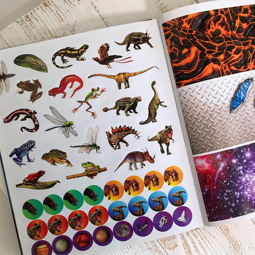 DK ：什么是VR（附赠拼插VR眼镜和143张趣味贴纸）不可思议的VR体验 足不出户带你穿梭另一个世界 商品图4