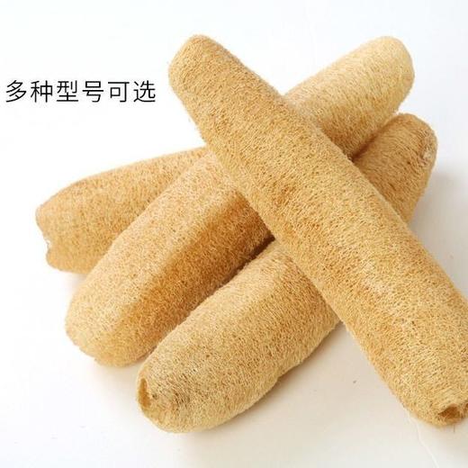 农家丝瓜络洗碗不沾油刷锅洗澡百洁布天然老瓜瓤去油通络干丝瓜筋