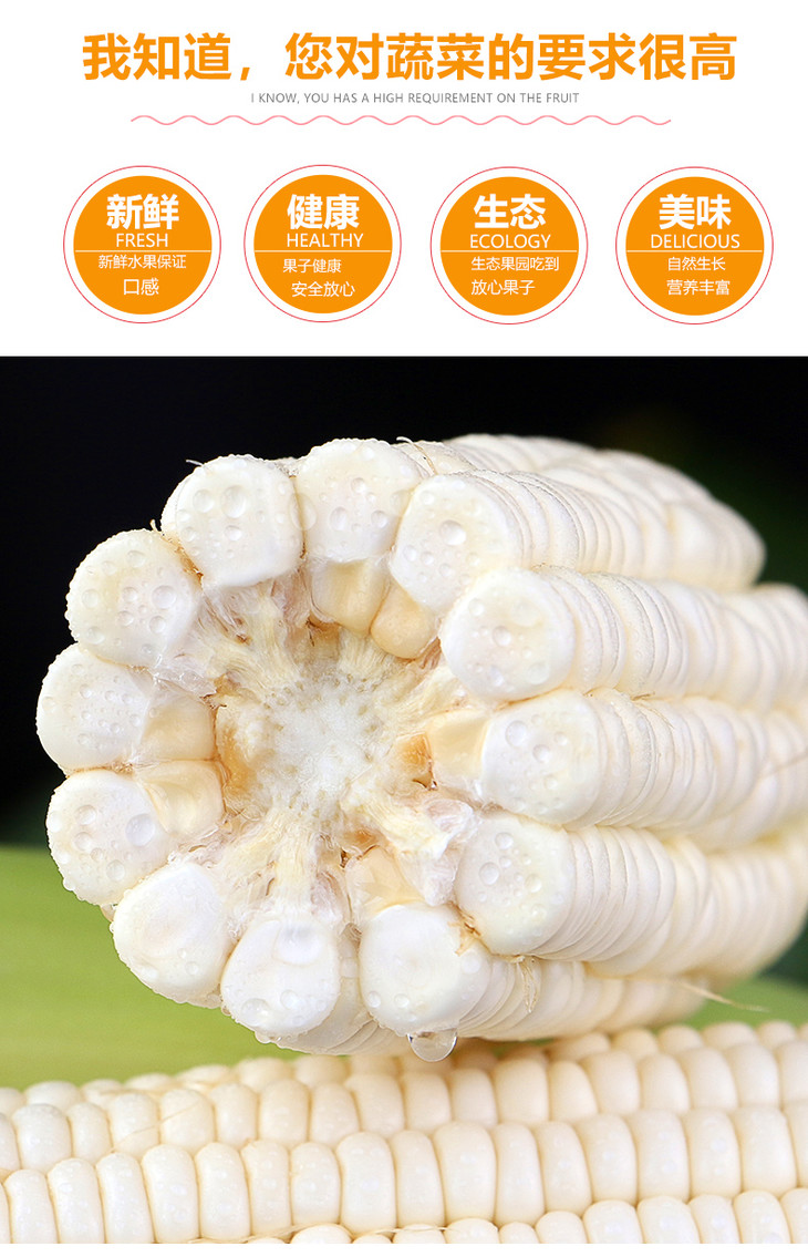 限时团购周五发货湖南郴州白美人玉米