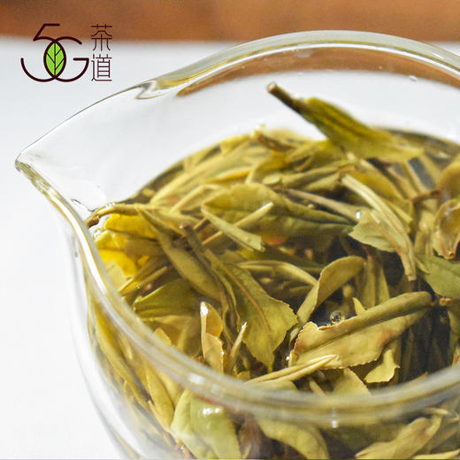 白茶 | 小城之春 2019年 华茶一号 白牡丹（散茶） 100g 商品图3