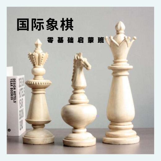 第二书房暑期课 | 国际象棋 · 零基础启蒙班（线上） 商品图0