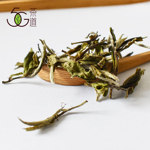 白茶 | 小城之春 2019年 华茶一号 白牡丹（散茶） 100g 商品图4