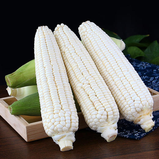 限时团购周五发货湖南郴州白美人玉米