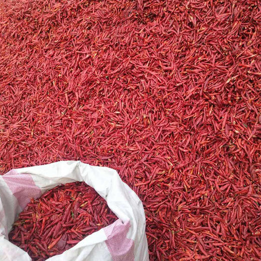 重庆特产【干辣椒】 商品图3