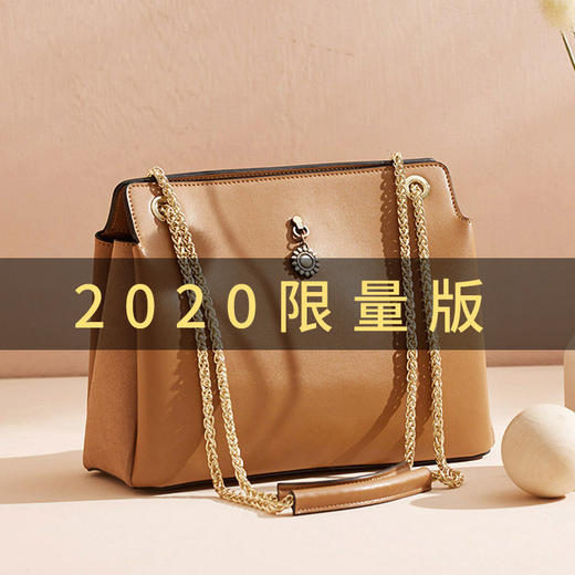 BX-BX619110302真皮2020新款复古国风链条单肩包大容量宫廷潮手提包 商品图0