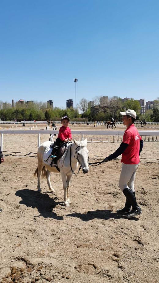【教育实践活动·团体定制】御马苑~皇家小骑士养成记！感受骑马的乐趣！（8组家庭成团） 商品图5