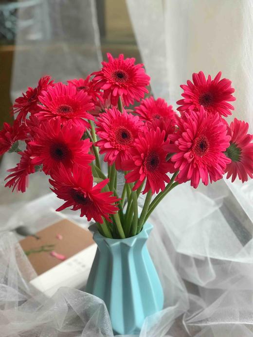 [预售] 扶朗【红色20支】会员价39元/24小时内发货