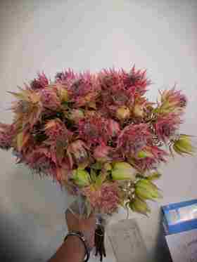 配花-新娘花-5到7枝/扎