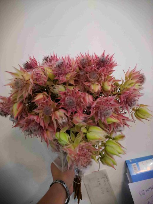 配花-新娘花-5到7枝/扎 商品图0