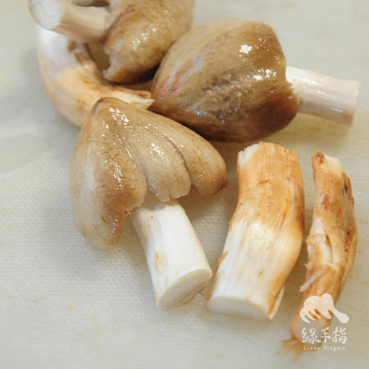 野生鲜鸡枞（限时88折） | 合作生产* Wild collybia albuminosa | Coproduction 商品图2