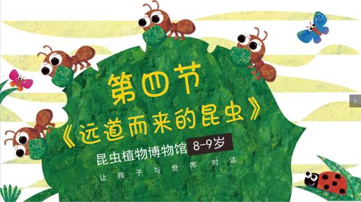 昆虫馆 | 第四课《小瓢虫归来》 商品图0