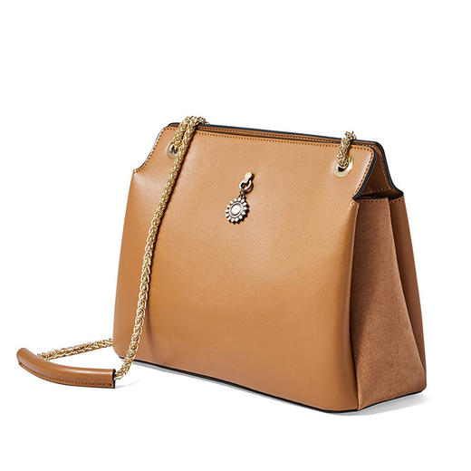 BX-BX619110302真皮2020新款复古国风链条单肩包大容量宫廷潮手提包 商品图3