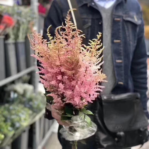 配花-络新妇-粉色-10枝/扎 商品图1