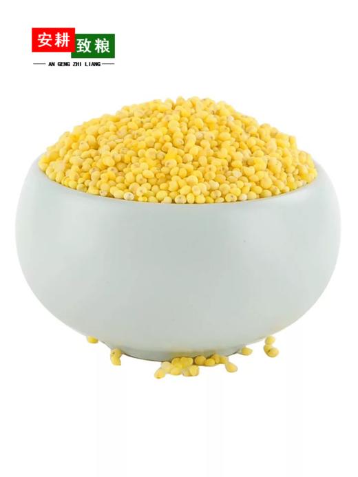 安耕致粮·有机大黄米400g+有机糯米400g 商品图2