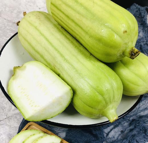 白玉丝瓜65元每斤